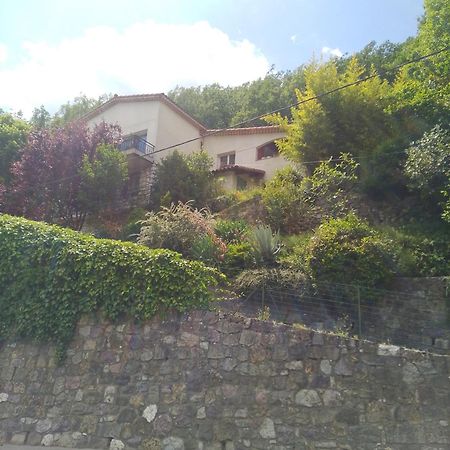 Apartamento Les Lauriers Roquebilliere Exterior foto